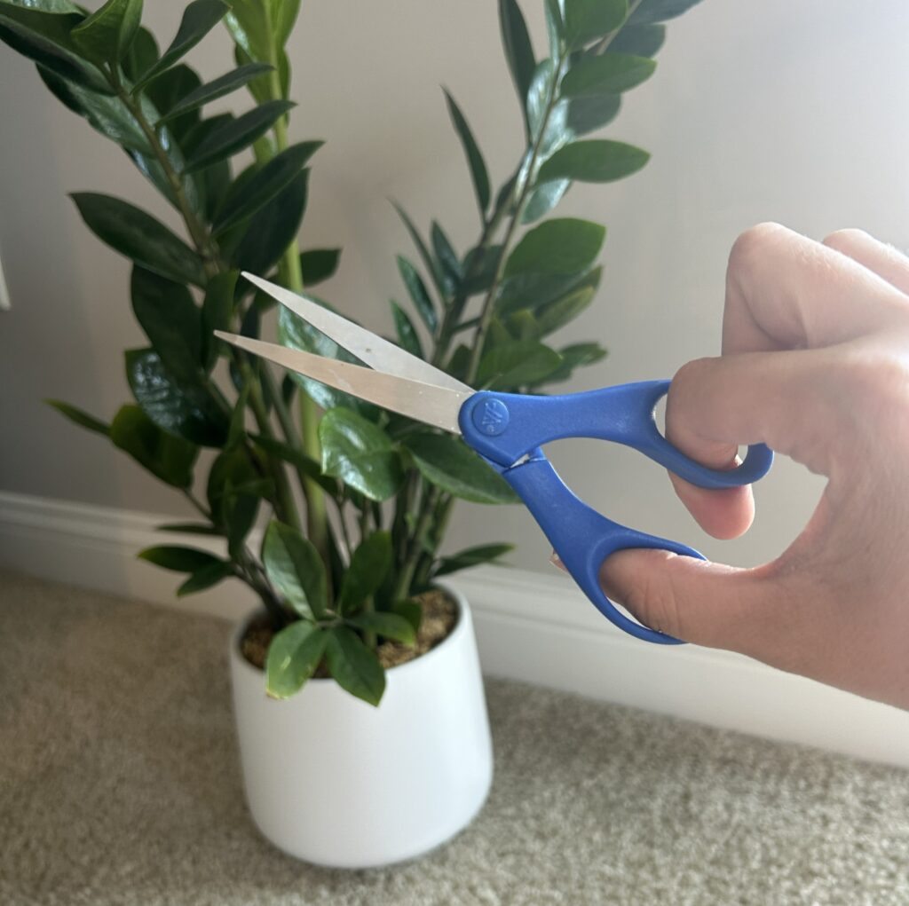 Hand holding blue scissors