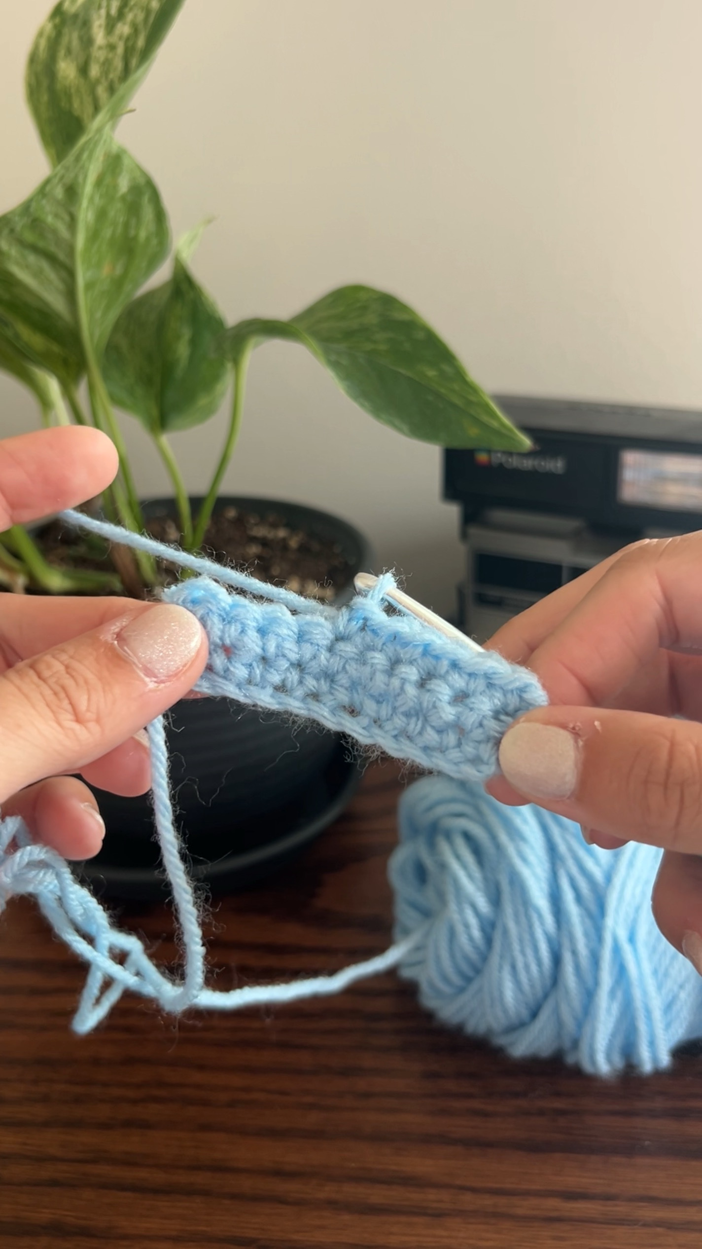 A light blue crochet piece held by two hands above a dark wooden surface and a plant in the background