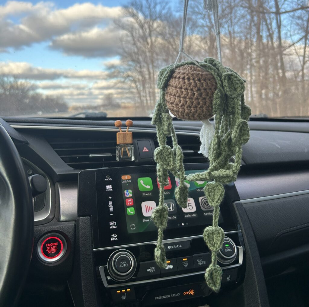 Green Crochet Hanging Plant and Brown Pot sitting in White Macrame Holder above dashboard in a car