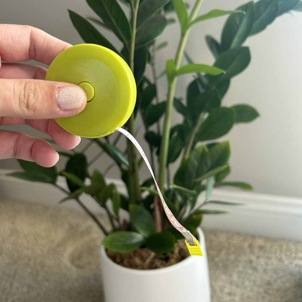 Hand displaying a circular measuring tape with measure piece hanging out