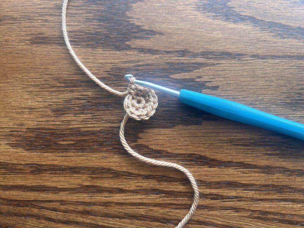 crochet hook and brown yarn showing round 2 of the crochet pattern