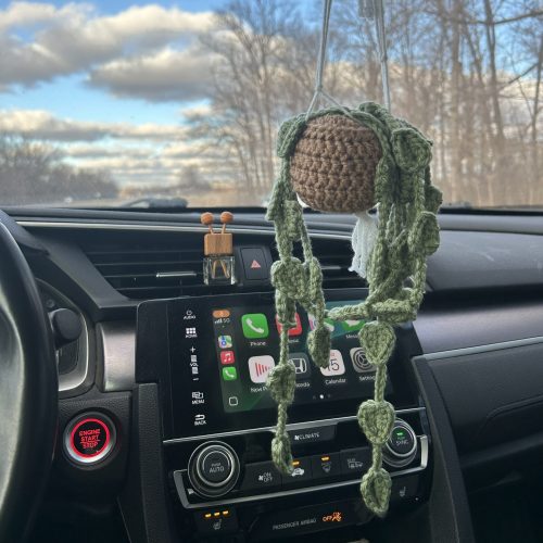 Green Crochet Hanging Plant and Brown Pot sitting in White Macrame Holder above dashboard in a car